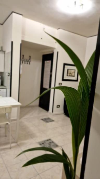Brik's House Apartamento